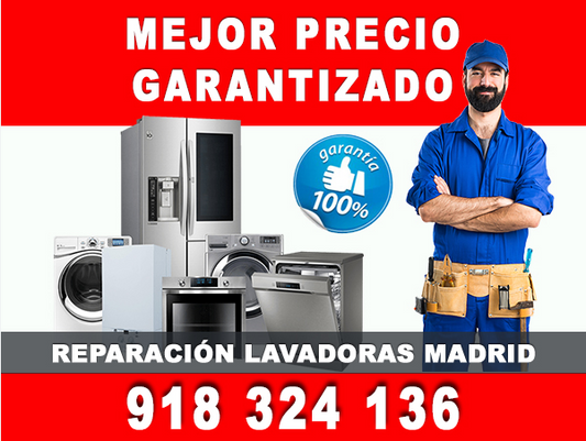 reparacióndeeTertodoMéstico-诊断